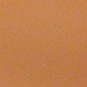 Meet your Posher, Lydia